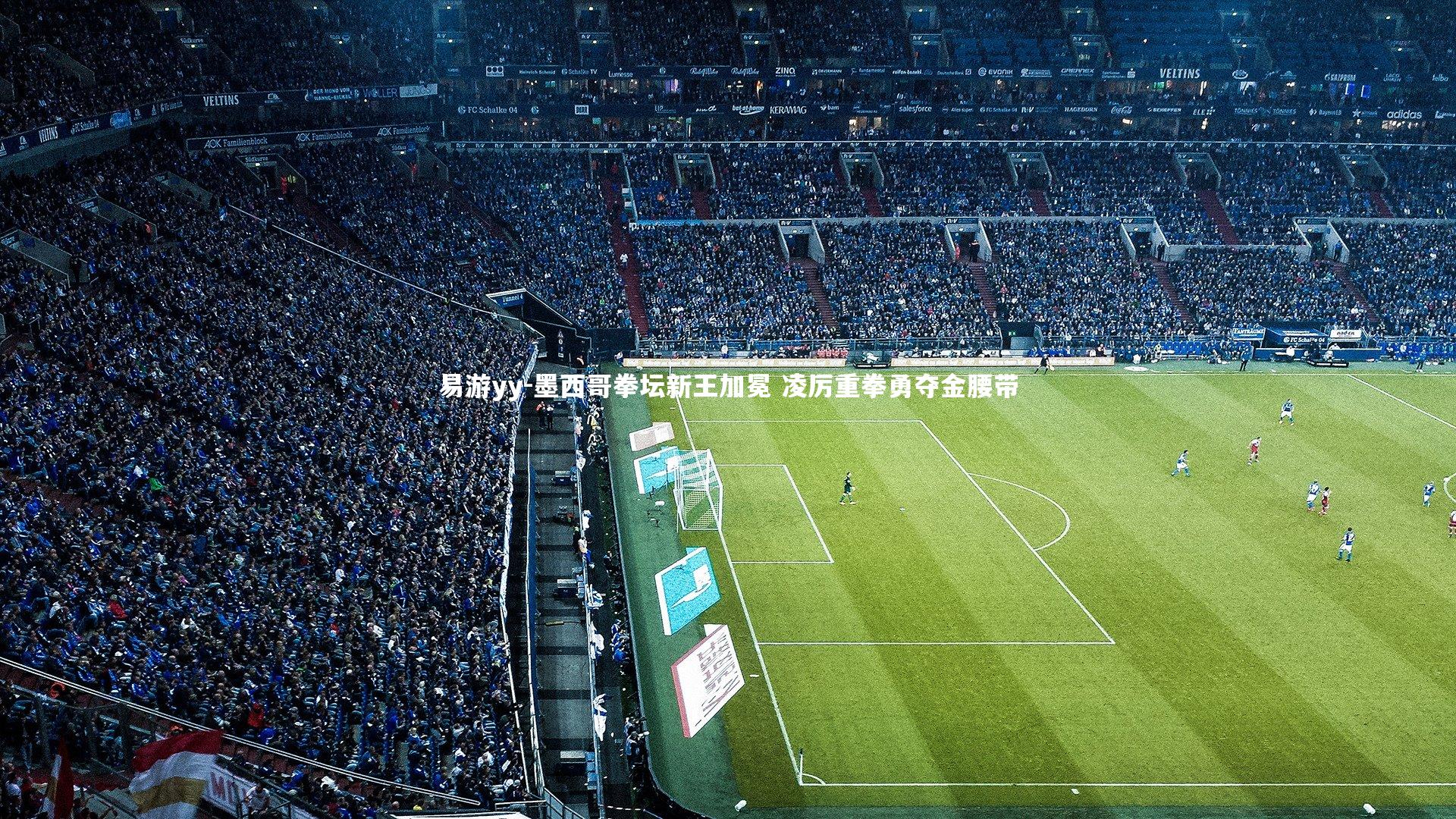 墨西哥拳坛新王加冕 凌厉重拳勇夺金腰带